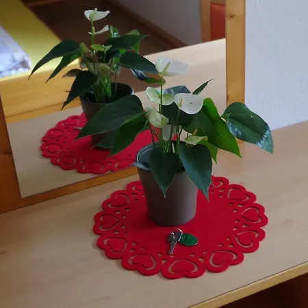 Apartment Sonnenkogel